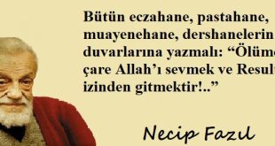 ALLAH’I SEVER GİBİ SEVMEYİN