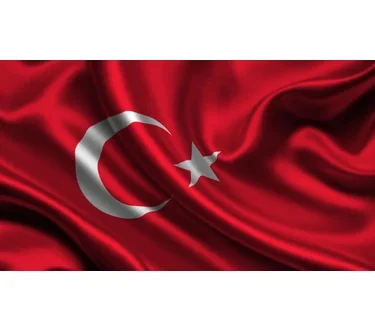 GEÇMİŞTE TÜRKLÜK VE GELECEKTE TÜRKLÜK