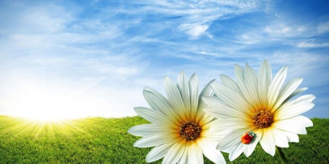 Toplumsal huzur ve sistem
