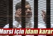 HATA ETTİK…AMAN HA! SİZ DE AYNI HATAYA DÜŞMEYİN