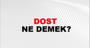 Dostum Trump ne demek
