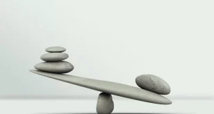 TÜRKİYE VE DİĞER İSLÂM ÜLKELERİ… KIYAS NE İLE? 