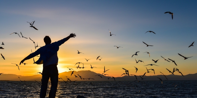 İKTİDARLAR, ÖZGÜRLÜK VE ADALET İLİŞKİSİ ÜSTÜNE… 