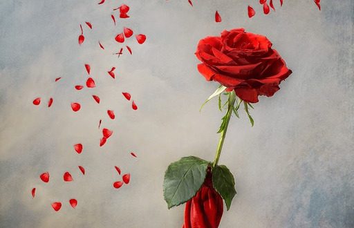 Sessizliğin Derinliği