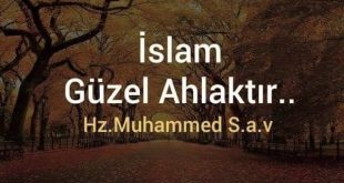 Yitik Cennet