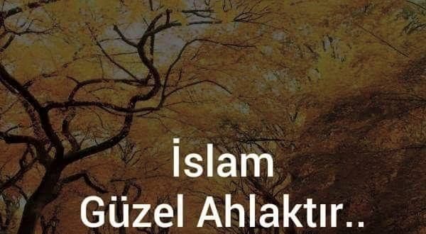 Yitik Cennet