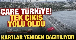 Bölgesel ve Küresel Arz Güvenliğinde Türkiye’nin Rolü