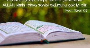 DEĞERİ TAKVASINDA