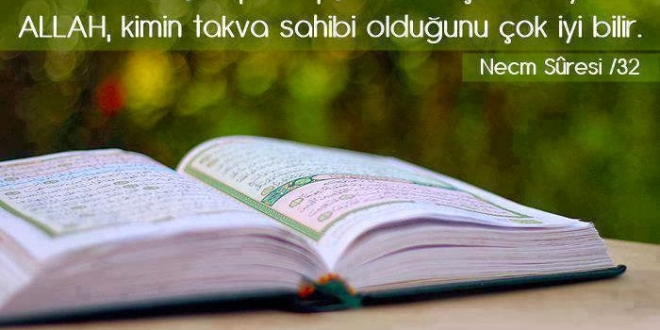 DEĞERİ TAKVASINDA