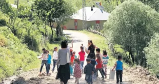 YAŞAMAYI BİLMEDEN ÖĞRETMEN OLMAK!.. 