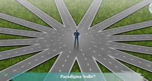 Paradigmanın çıkmazı