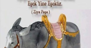 AŞK OLSUN!