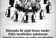 HIRSIZIKORUYUP KOLLAYAN VE ONU ÖVEN