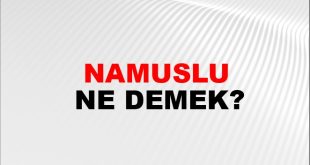NAMUSLU KELİMESİNİ NASIL TARİF EDERSİNİZ? 