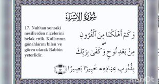 TOPLUMSAL ETKİLEŞİM