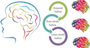 BİLGİNİN HAFIZASI YAZIDIR