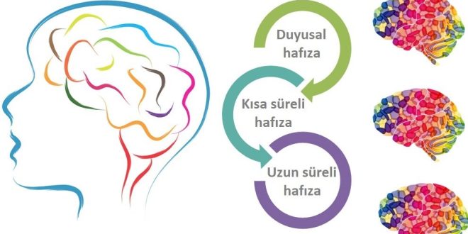 BİLGİNİN HAFIZASI YAZIDIR